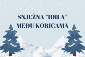 Napeti trileri u snijegu