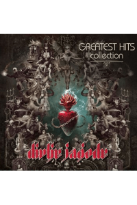 Divlje jagode - Greatest hits collection CD - omot