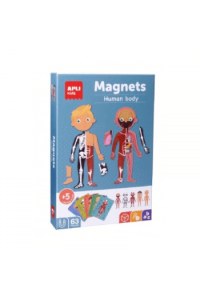 Igra Apli magnets ljudsko tijelo