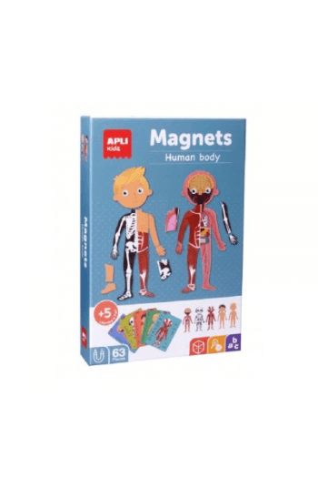 Igra Apli magnets ljudsko tijelo - slika proizvoda