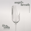 Živa Voda, Darko Rundek – Angel’s Breath de/re/konstrukt (LP) glazbeno izdanje
