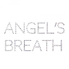 Milan Mladenović, Mitar Subotić Suba - Angel's Breath LP - omot
