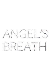 Milan Mladenović, Mitar Subotić Suba - Angel's Breath LP - omot