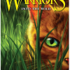 Warrior Cats 1 Into Wild - naslovnica