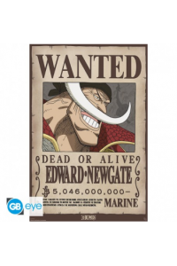 One Piece - Poster Maxi 91.51 - Wanted Whitebeard 