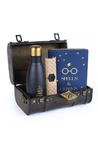Pyramid Harry Potter (Trouble Finds Me) Premium Gift Set