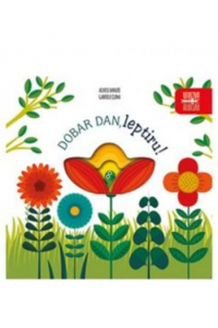 Dobar Dan, Leptiru! (Slikovnica) - naslovnica