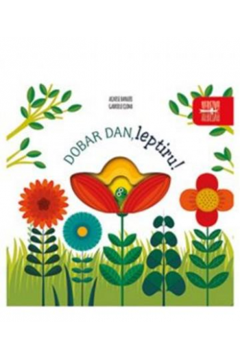 Dobar Dan, Leptiru! (Slikovnica) - naslovnica