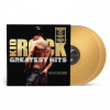 Kid Rock - Greatest Hits: You Never Saw Coming LP - omot
