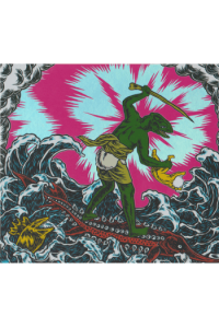 King Gizzard and the Lizard Wizard - Teenage Gizzard CD - omot