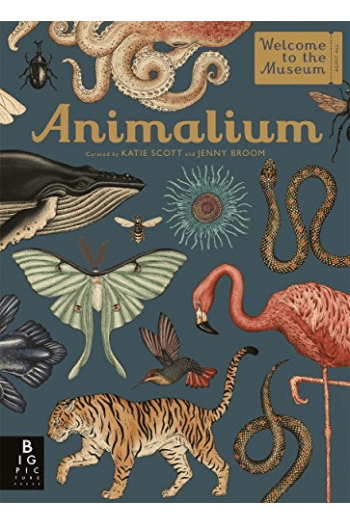 Animalium - naslovnica