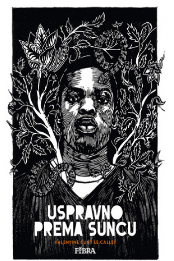 Upsravno prema suncu (Strip) - naslovnica