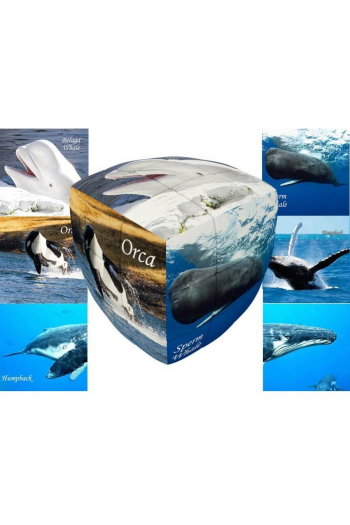V-Cube 3X3 Pillow: Whales - slika proizvoda