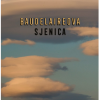 Baudelaireova sjenica - naslovnica