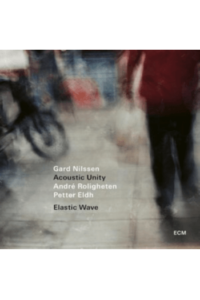 Gard Nilssen Acoustic Unity - Elastic Wave LP - omot