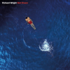 Richard Wright - Wet Dream BD - omot