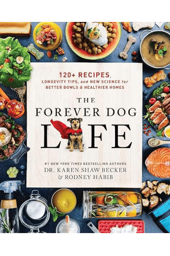 The Forever Dog Life - naslovnica