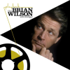 Brian Wilson - Playback (The Brian Wilson Anthology) LP - omot