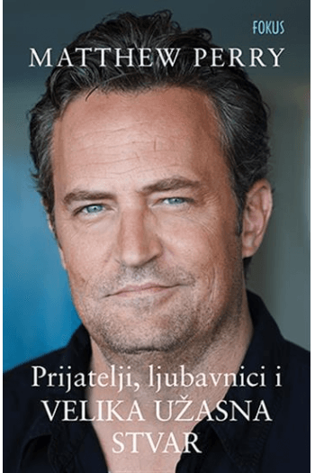 Prijatelji, ljubavnici i velika užasna stvar knjiga