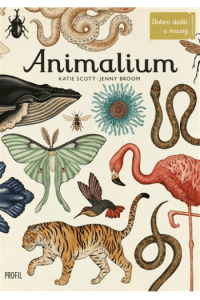 Animalium - izdanje 2023. - naslovnica