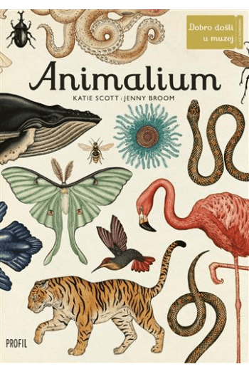 Animalium - izdanje 2023. - naslovnica