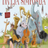 Divlja simfonija (Slikovnica) - naslovnica