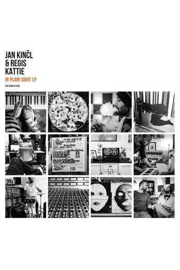 Jan Kinčl & Reggis Katie - In plain sight LP - omot