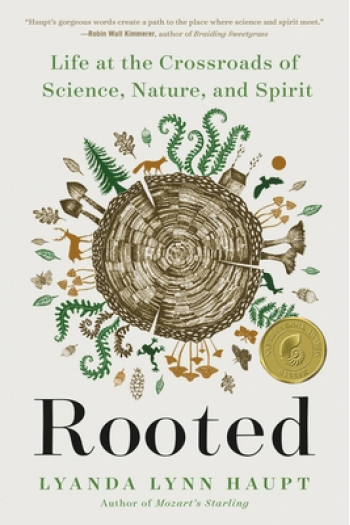 Rooted - naslovnica