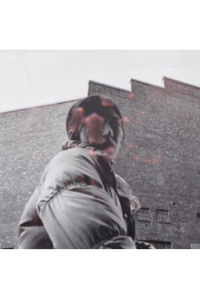 Aldous Harding - Warm Chris LP - omot