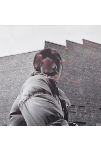 Aldous Harding - Warm Chris LP - omot
