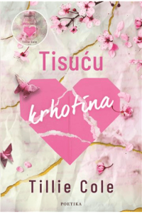 Tisuću krhotina - naslovnica