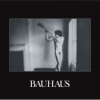 Bauhaus - In The Flat Field LP - omot