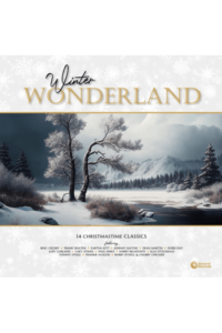 Psychedelic Furs, The - Winter Wonderland LP - omot