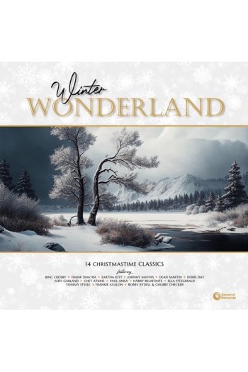 Psychedelic Furs, The - Winter Wonderland LP - omot