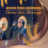 Boris Ćiro Gašparac - Zlatne žice Slavonije CD - omot