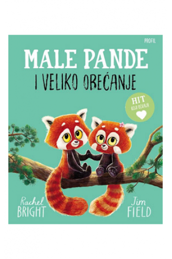 Male pande i veliko obećanje (Slikovnica) - naslovnica