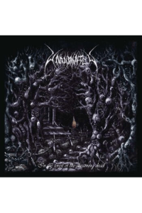 In The Forest Of The Dreaming Dead (Re-i