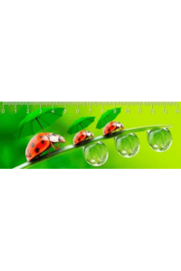 RAINY DAY - slika proizvoda