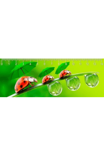 RAINY DAY - slika proizvoda
