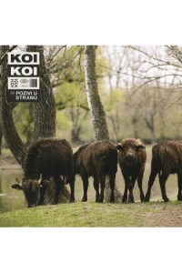 Koikoi - Poziv u stanu LP - omot