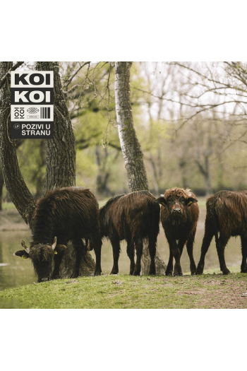 Koikoi - Poziv u stanu LP - omot