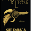 Surova vremena - naslovnica