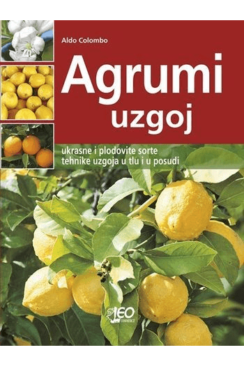 Agrumi – uzgoj - naslovnica