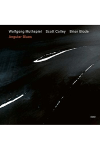 Muthspiel Wolfgang/Colley/Blad - Angular Blues CD - omot