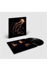 Royal Blood - Back To The Water Below (Black vinyl) LP - omot