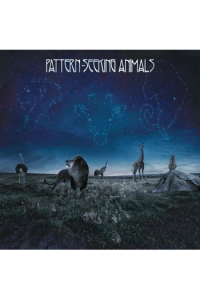 Pattern-Seeking Animals