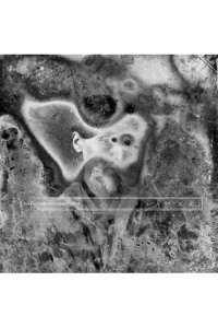 Žena sa bradom,patuljak,idiot