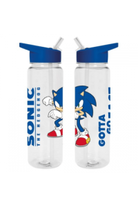 Pyramid Sonic The Hedgehog (Gotta To Go Fast) Plastic Drinks Bottle 700ml