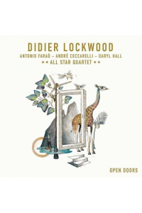 Lockwood, Didier - Open Doors LP - omot