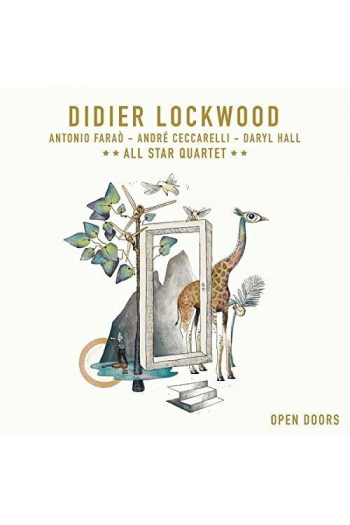 Lockwood, Didier - Open Doors LP - omot